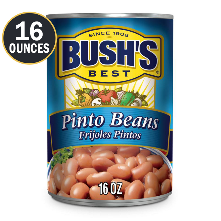 BUSH'S PINTO BEANS 16OZ