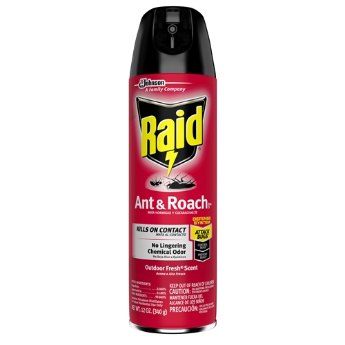 RAID ANT & ROACH OUTDOOR 12OZ