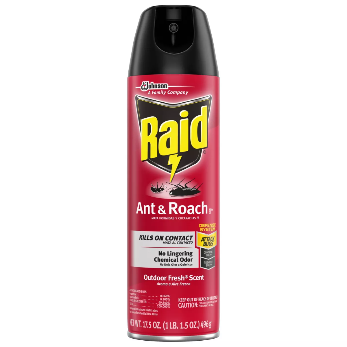 RAID ANT & ROACH OUTDOOR 17.5OZ