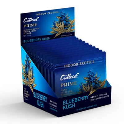 CUTLEAF FLOWER P 4.2G BLUE 10PK