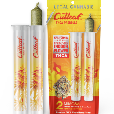 CUTLEAF ROLLS MIMOSA 10/2PK
