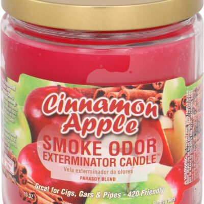 SMOKE ODOR CANDLE 13OZ CINNAMON