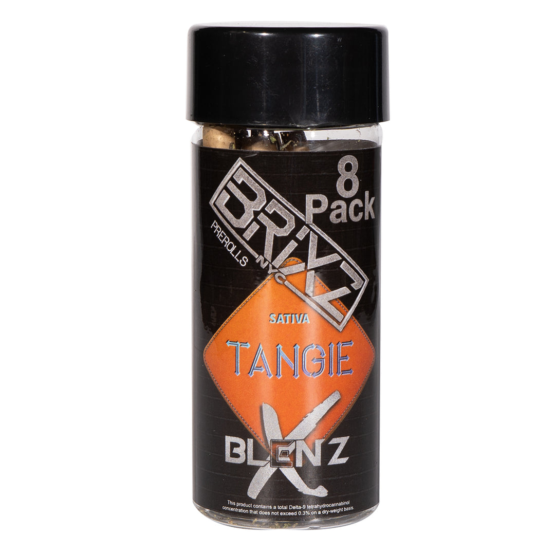 DAZED BRIXZ 6G ROLL TANGIE 8CT