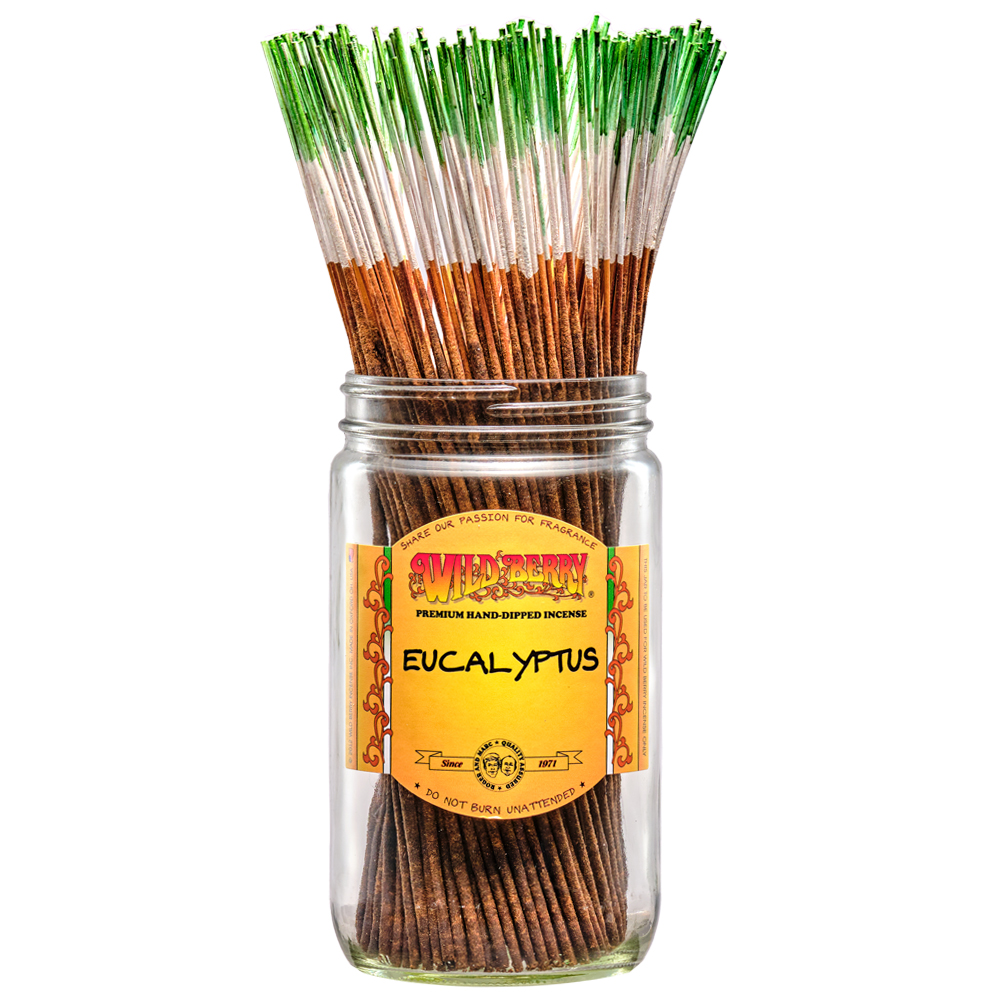 WILDBERRY STICKS EUCALYPTUS