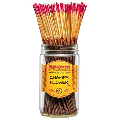 WILDBERRY STICKS CHAMPA FLOWER