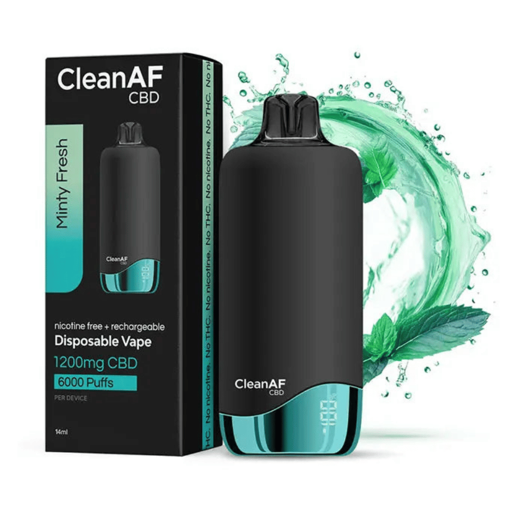 CLEANAF DISP 1200MG MINTY 5CT